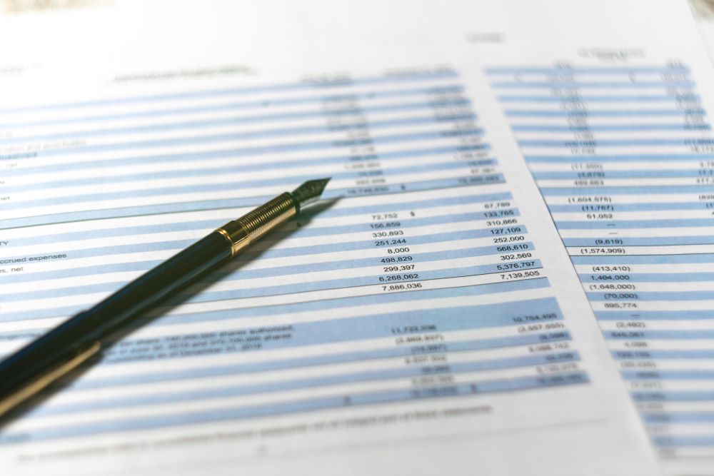 Income statement in stockholder report book